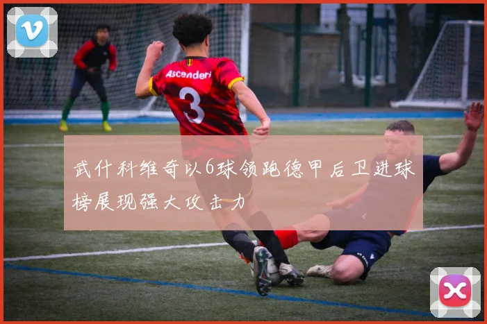 武什科维奇以6球领跑德甲后卫进球榜展现强大攻击力